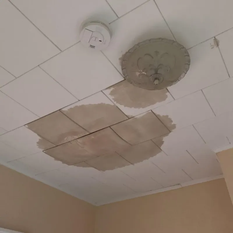 Ceiling Water Damage Repair in Green Valley, CA