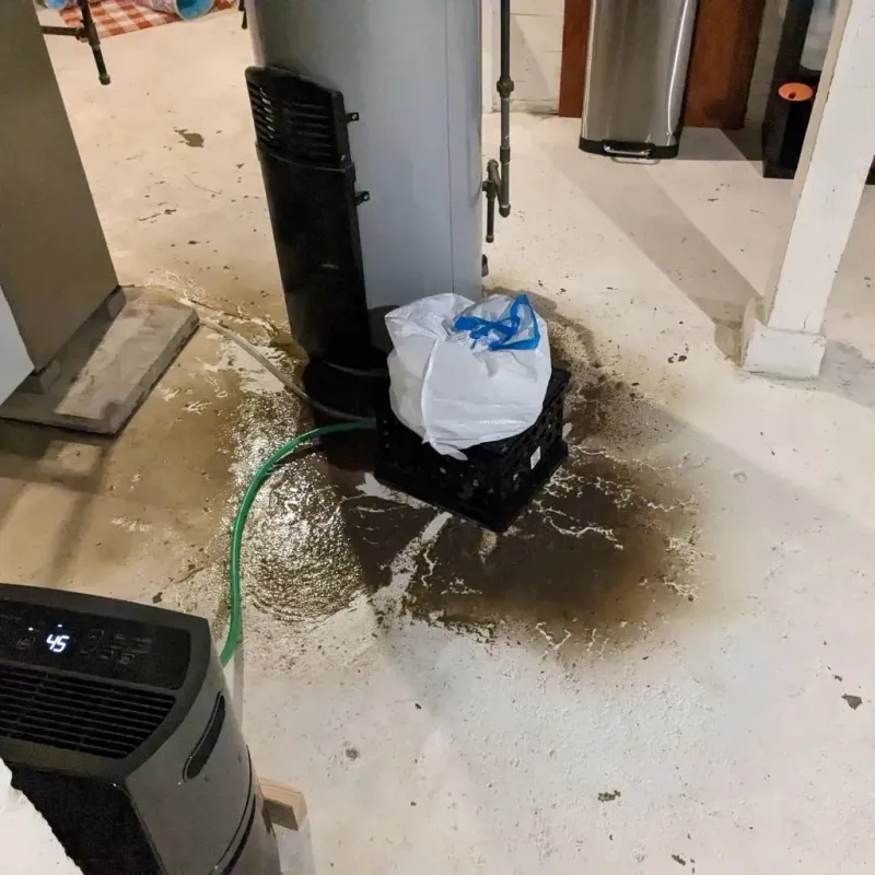Sewage Backup Cleanup Service in Green Valley, CA